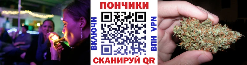 Магазины продажи наркотиков Лосино-Петровский Галлюциногенные грибы  Alpha PVP  ГАШ  Кокаин  АМФЕТАМИН 