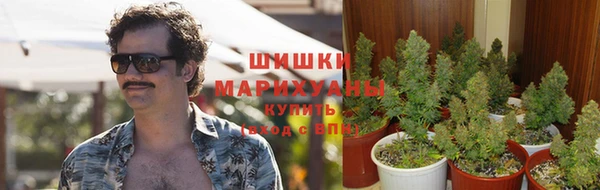амф Наволоки