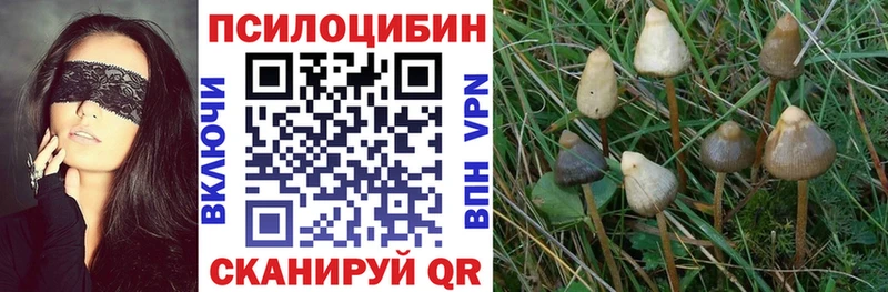 Галлюциногенные грибы мухоморы  Лосино-Петровский 