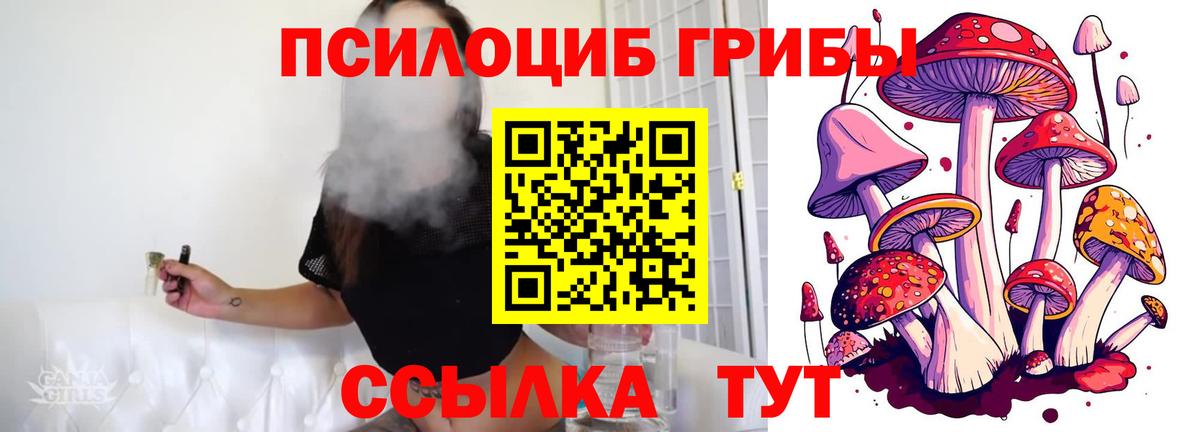 Псилоцибиновые грибы Psilocybe Лосино-Петровский
